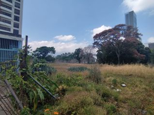 VENTA ( Se Vende) EL MEJOR TERRENO DE SABANA, COD. RAA 1341 en San Marcos, Tarrazú, San José — $21,000,000 - Foto 5 de 19