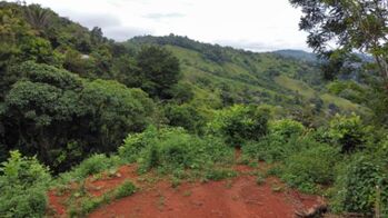 VENTA DE LOTE CON VISTAS DE ENSUEÑO EN PLATANARES en Cajón, Pérez Zeledón, San José — $47,000 - Foto 4 de 15