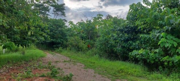 Preciosos Lotes en Cóbano cerca de bellas Playas in Cóbano, Puntarenas — $40,000