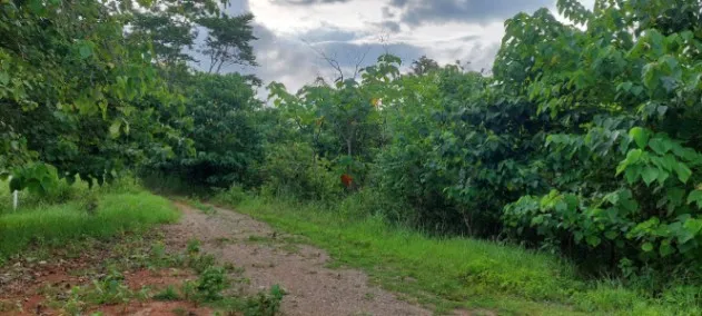 Preciosos Lotes en Cóbano cerca de bellas Playas in Cóbano, Puntarenas — $40,000