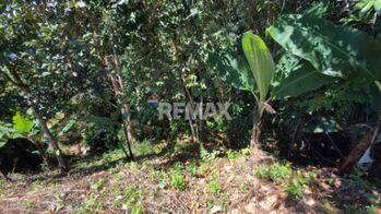 LOTE EN VENTA EN PÉREZ ZELEDÓN – 1,712 m² CON VISTA AL CERRO CHIRRIPÓ Y QUEBRADA in San Isidro De El General, Pérez Zeledón, San José — $136,000 - Photo 5 of 9