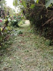 Finca en Venta en Sarapiquí – 10 Hectáreas con Acceso a Calle Pública in La Virgen, Sarapiquí, Heredia — $290,000 - Photo 3 of 29
