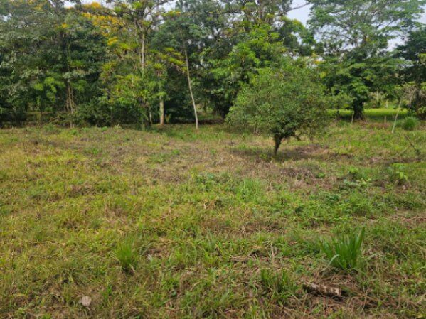 SE VENDE BELLÍSIMA FINCA EN BIJAGUAL.  en Carara, Turrubares, San José — ₡ 204 000 000