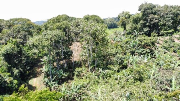 PROPIEDAD 10.007 M² EN VENTA SAN RAFAEL DE PLATANARES in Platanares, Pérez Zeledón, San José — $30,000
