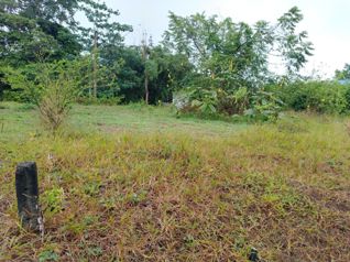 Lotes en Venta en San Ramón, Residencial Don Juan, Chachagua en Peñas Blancas, San Ramón, Alajuela — $20,000 - Foto 4 de 28