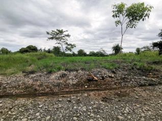 Venta de Lote en Macacona de Esparza Hacienda los higuerones en Macacona, Esparza, Puntarenas — $46,000 - Foto 5 de 6