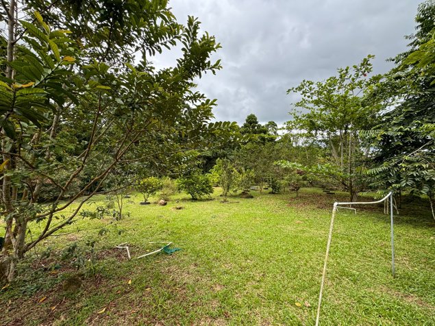 VENTA Finca de 2.0 Ha en Bella Vista de Guápiles -  CON CASA DE HABITACION- PRECIO NEGOCIABLE en Guápiles, Pococí, Limón — ₡ 240 744 000
