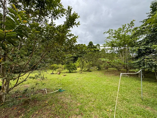 FOR SALE 2.0 Ha Farm in Bella Vista de Guápiles - WITH HOUSE - NEGOTIABLE PRICE in Guápiles, Pococí, Limón — ₡ 240 744 000 - Photo 3 of 18