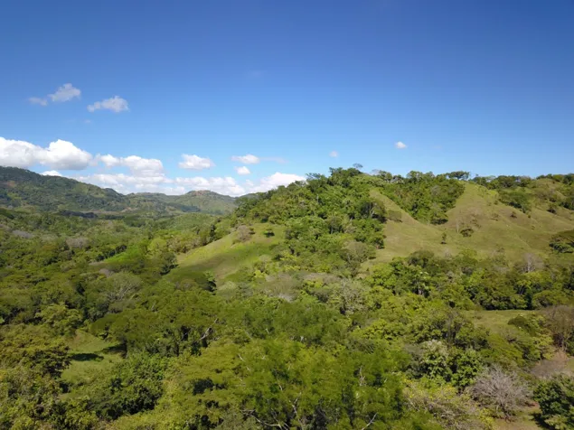 Hermosa finca ubicada en una comunidad rural, alejada del ruido pero cercana a servicios y playas. en Zapotal, Nandayure, Guanacaste — ₡ 131 600 000 - Foto 2 de 13