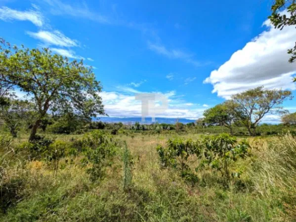 SE VENDE FINCA BIRRÍ SANTA BÁRBARA HEREDIA SCG15 en Barva, Heredia — ₡ 253 000 000