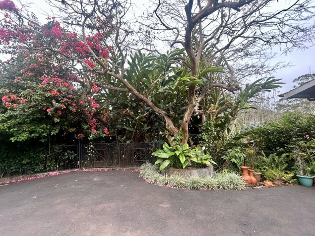 VENTA DE QUINTA CON CASA, APTO Y PISCINA, SAN RAMÓN, SAN ISIDRO en San Isidro, San Ramón, Alajuela — $430,000