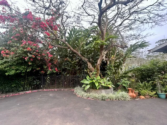 VENTA DE QUINTA CON CASA, APTO Y PISCINA, SAN RAMÓN, SAN ISIDRO in San Isidro, San Ramón, Alajuela — $430,000 - Photo 3 of 21