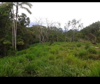 Finca en Venta Cajón, Pérez Zeledón, San José