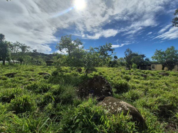 TERRENO PLANO DE MÁS DE 2 ACRES SOBRE CARRETERA PAVIMENTADA EN MIRAFLORES en Sierpe, Osa, Puntarenas — $63,000