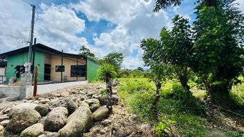 🌿 TERRENO EN VENTA EN LA COLONIA, GUAPILES en La Colonia, Pococí, Limón — 19 500 000 ₡ - Foto 4 de 7