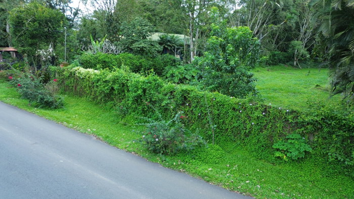 Terreno en venta en Esquipulas de Palmares, Alajuela (1,174.30m2) in Esquipulas, Palmares, Alajuela — ₡ 86 000 000 - Photo 2 of 6