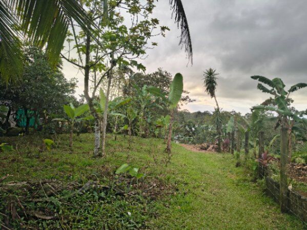 Venta de Finca  en Río Cuarto, Alajuela — $300,000