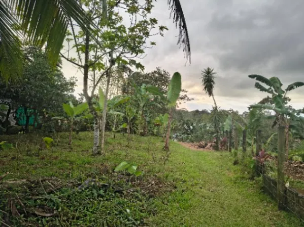 Farm for Sale in Río Cuarto, Alajuela — $300,000 - Photo 2 of 9