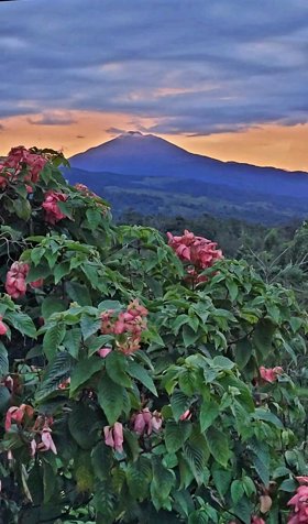 Propiedad con Airbnb en Guatuso | Vista al Volcán Tenorio | 8,007 m2 en San Rafael, Guatuso, Alajuela — ₡ 85 000 000 - Foto 2 de 35