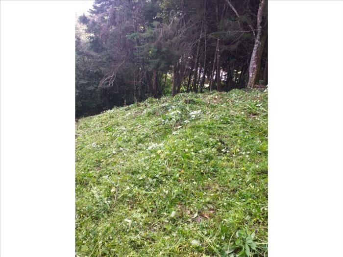 VENTA DE QUINTA, SAN JOSÈ, DESAMPARADOS, JERICO en Desamparados, San José — ₡ 32 000 000