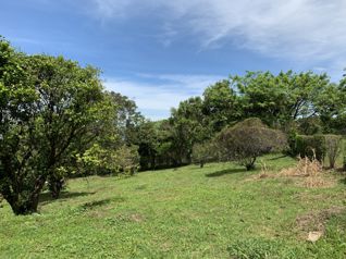 VENTA TERRENOS DE DESARROLLO O RESIDENCIAL, HEREDIA, BUENA VISTA in San Pablo, Barva, Heredia — $155,000 - Photo 5 of 15
