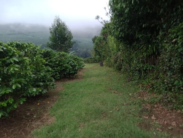 SE VENDE BELLA Y ÚTIL FINCA EN SAN ISIDRO DE ALAJUELA.  en San Isidro, Alajuela — ₡ 150 000 000