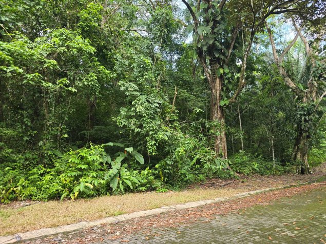 VENTA DE TERRENO EN COSTA ESTERILLOS ESTATES en Parrita, Puntarenas — $57,000 - Foto 2 de 16