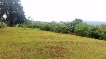 VENTA DE FINCA, HEREDIA, SAN ISIDRO in San Isidro, Heredia — $767,000 - Photo 4 of 8