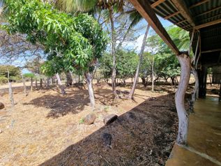 Venta Finca Ganadera Palmira Cañas Guanacaste 53 ha. en Palmira, Cañas, Guanacaste — 319 000 000 ₡ - Foto 2 de 20