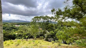 SE VENDE FINCA EN SAN MIGUEL, NARANJO en San Miguel, Naranjo, Alajuela — $890,000 - Foto 4 de 17