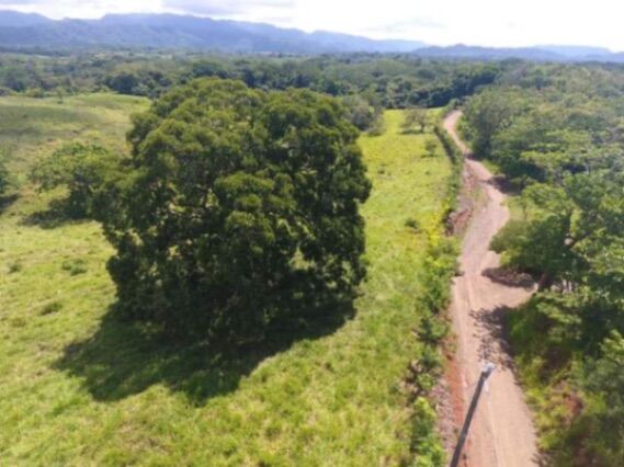 En venta propiedad en Montezuma, Cóbano, Puntarenas | Finca en Venta con Uso de Suelo Residencial en Cóbano, Puntarenas — $2,000,000
