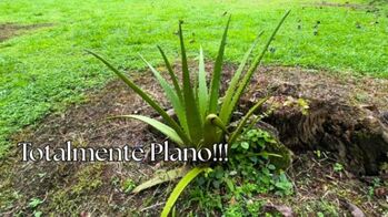 Venta de Lote (totalmente plano) en Orotina -  ¡Súper precio! RAH 26-783  in Hacienda Vieja, Orotina, Alajuela — $170,000 - Photo 5 of 18