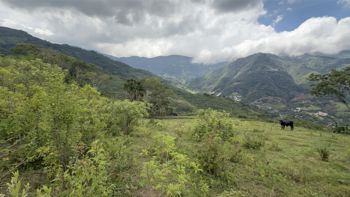 Lote de 11,000m² en Venta en Salitral de Santa Ana, Carretera a Escazú en Salitral, Santa Ana, San José — $275,000 - Foto 3 de 11