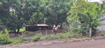 Terreno con Cabañas y Árboles Frutales Cerca de Orotina en San Pablo, Turrubares, San José — $40,000 - Foto 4 de 6