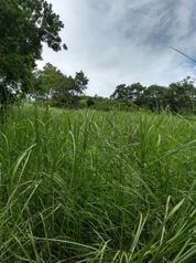 LOTE  PLAYA VISTA GOLFO NICOYA en Colorado, Abangares, Guanacaste — $145,000 - Foto 5 de 6