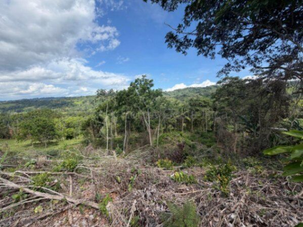 Venta de Lote en Pérez Zeledón-Daniel Flores, San José. RAH 27-91 in Daniel Flores, Pérez Zeledón, San José — ₡ 31 422 000