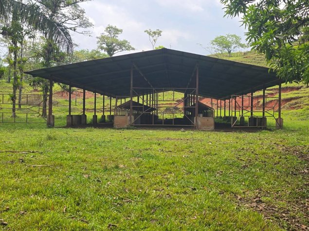 GRAN FINCA GANADERA DE 225,5 HECTÁREAS EN COSTA RICA in San José, Atenas, Alajuela — ₡ 3 800 000 - Photo 2 of 13