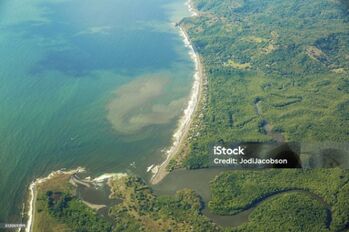 Oportunidad Estratégica de Inversión en Sierpe, Osa, Puntarenas — $1,450,000 - Foto 5 de 8