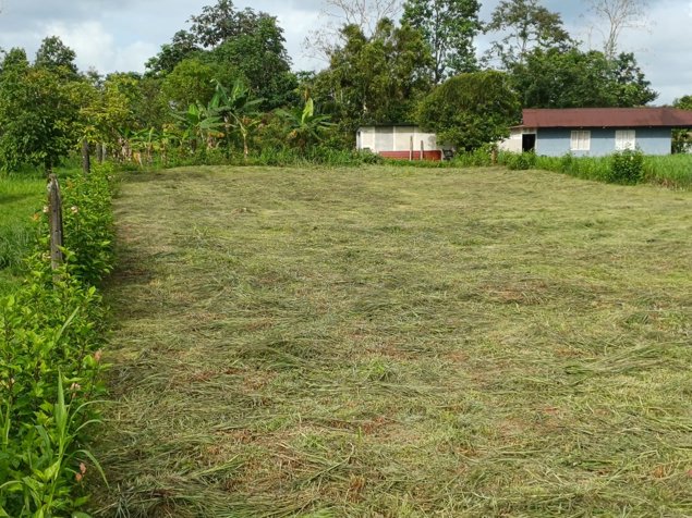 VENTA DE LOTE USO DE SUELO MIXTO, HEREDIA, SARAPIQUI, HORQUETAS en Puerto Viejo, Sarapiquí, Heredia — ₡ 23 000 000