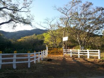 Finca en Venta Santa Cruz, Santa Cruz, Guanacaste