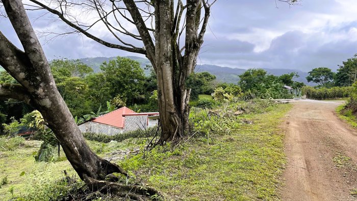 SE VENDE LOTE EN SAN PEDRO, SAN RAMON in San Ramón, Alajuela — $64,000