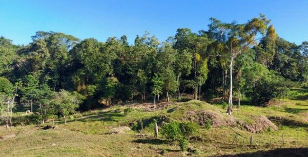 Se Vende Finca de 107 Hectáreas en Matina, Limón – Oportunidad Única in Matina, Limón — ₡ 230 000 000