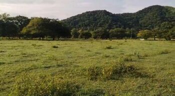 VENTA DE LOTE, USO MIXTO, GUANACASTE, BAGACES, LA FORTUNA - 9580725 in La Fortuna, Bagaces, Guanacaste — $1,200,000 - Photo 5 of 13