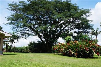 ALQUILER DE CASA COMERCIAL ALAJUELA, SAN CARLOS, LA FORTUNA en La Fortuna, San Carlos, Alajuela — $3,000 - Foto 4 de 7