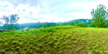 Se vende lote oportunidad para proyecto e inversión  in Guaycará, Golfito, Puntarenas — 70 000 000 ₡ - Photo 5 of 6