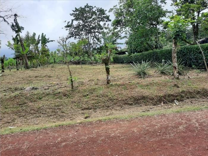 VENTA DE LOTE, ALAJUELA, RIO CUARTO. in Alajuela — ₡ 11 500 000