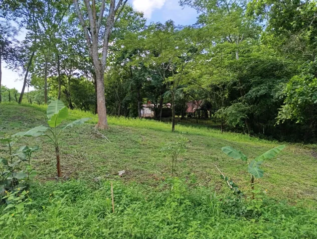 Ultimo lote de 1200m2 con orilla de rio cerca de Nicoya in Nicoya, Guanacaste — ₡ 13 500 000 - Photo 2 of 13