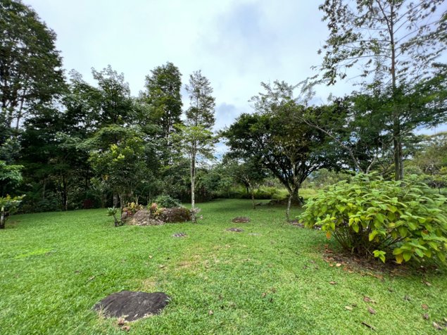 VENTA DE QUINTA DE 5.000 M2 CON ACCESO AL RIO PEÑAS BLANCAS Y RANCHO EN SANTA ELENA, PEREZ ZELEDON in El General, Pérez Zeledón, San José — $181,000