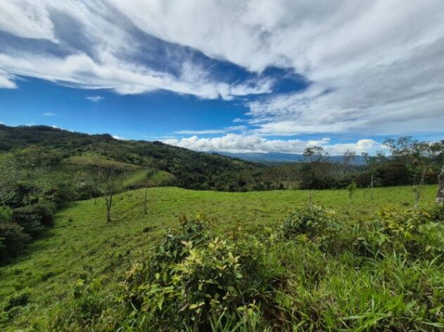 2+ hectares con vista en Santa Cruz, Miraflores, Perez Zeledon. en El General, Pérez Zeledón, San José — $250,000