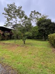 Se vende lote en San Isidro  #66 🏡 in Peñas Blancas, San Ramón, Alajuela — 13 000 000 ₡ - Photo 4 of 4